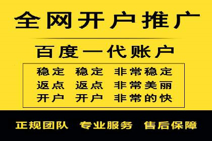 百度竞价广告投放策略：案例分析及优化建议
